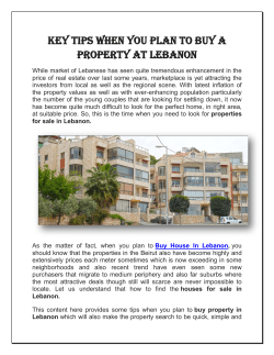 Key Tips when you plan to buy a property at Lebanon