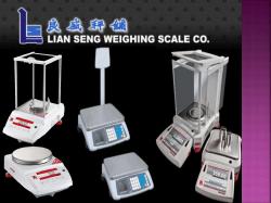 Lian Seng Weighing Scale Co