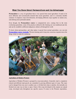 What You Know About Permaculture and its Advantages (1)