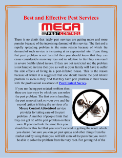 Best and Effective Pest Services