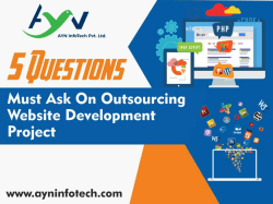 5 question website development