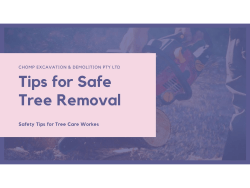 Tree Removal Safety Tips by CHOMP