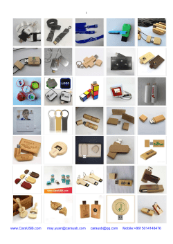 USB Flash Drives Catalog 2019 CaraUSB Tech Ltd
