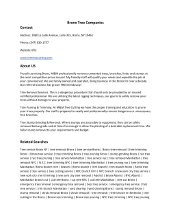 Bronx Tree Companies