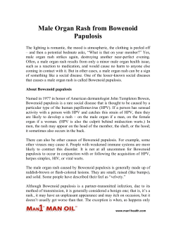 Male Organ Rash from Bowenoid Papulosis