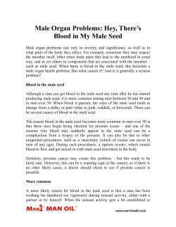Male Organ Problems - Hey, There’s Blood in My Male Seed