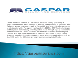 Gaspar Insurance ppt