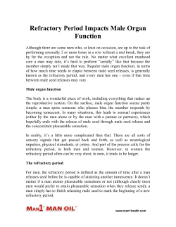 Refractory Period Impacts Male Organ Function