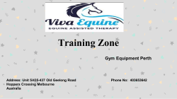 Equine Assisted Therapy by Viva Equine
